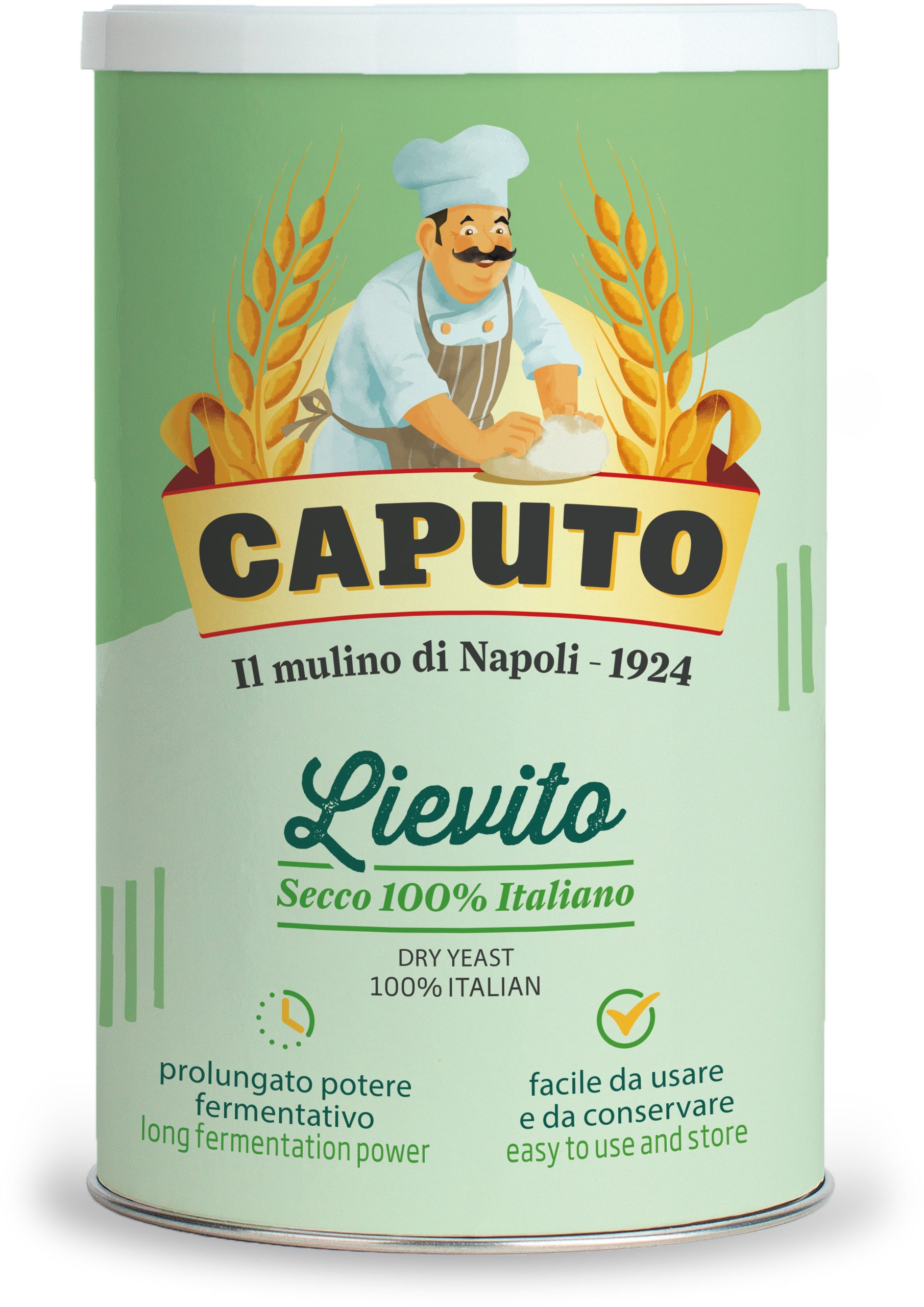 LIEVITO 100G